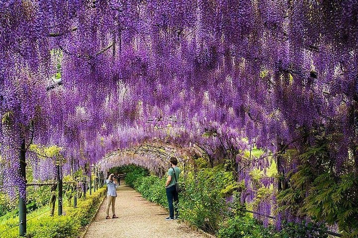 Bardini Gardens