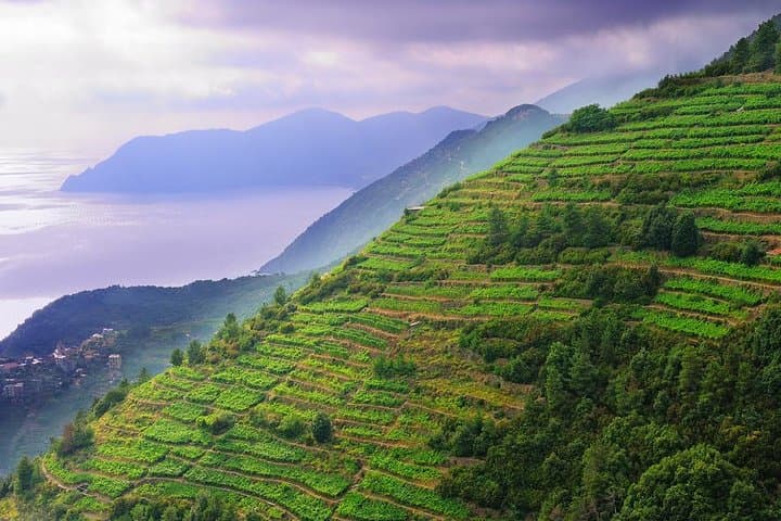Private EASY Cinque Terre & Pisa Accessible Tour from Livorno