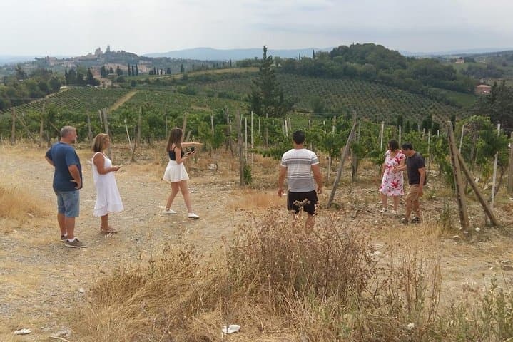 Panoramic View