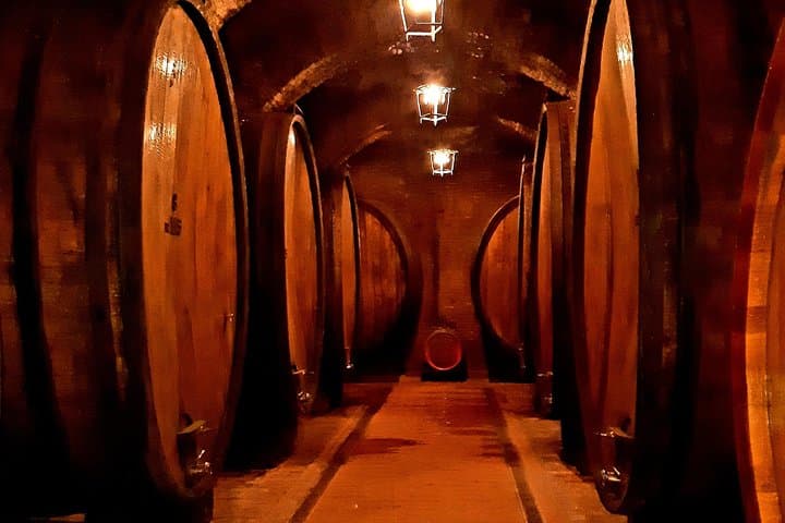 Historical Cellar in Montepulciano 
(Original photo of our tour)