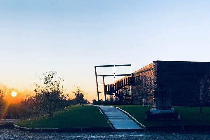 Sunset in the cellar
