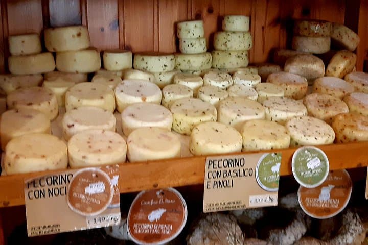 Pecorino cheese
original photos of our tours