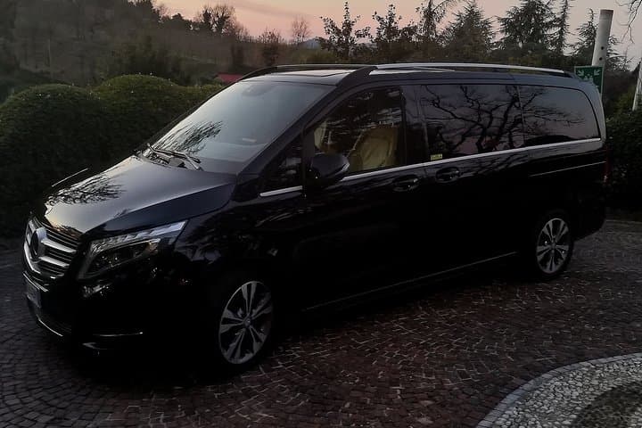 Sorrento private driver full day