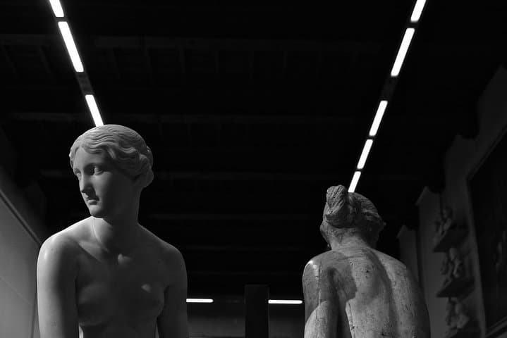 Florence: 1-hour Accademia Gallery guided experience with entrance tickets