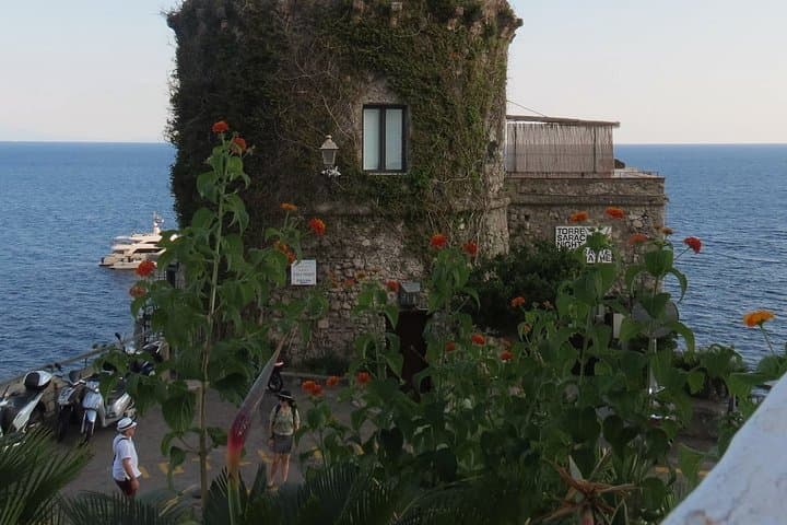 Sorrento private driver full day