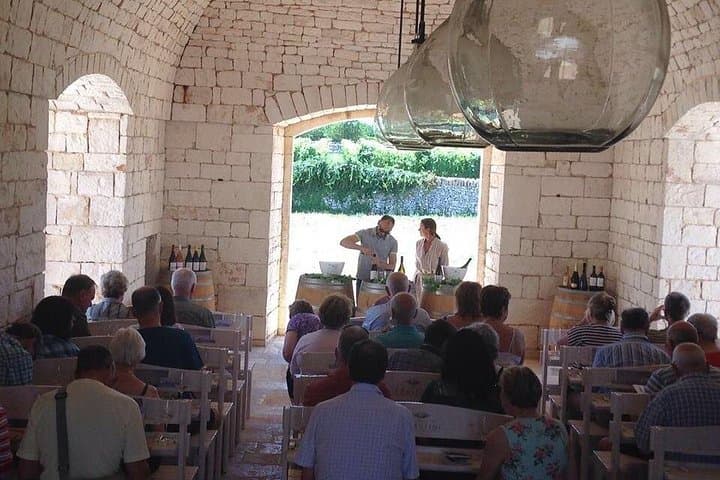 Wine tasting of local wines with explications