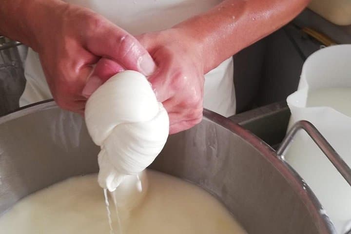 Private Cheese Making Tour in Valle d'Itria with Tastings