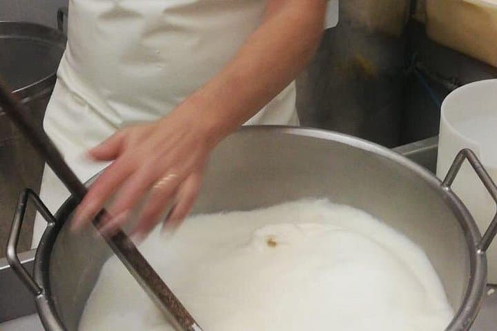 Private Cheese Making Tour in Valle d'Itria with Tastings