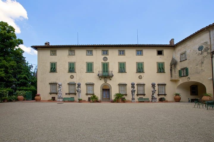 Wine Tour Experience