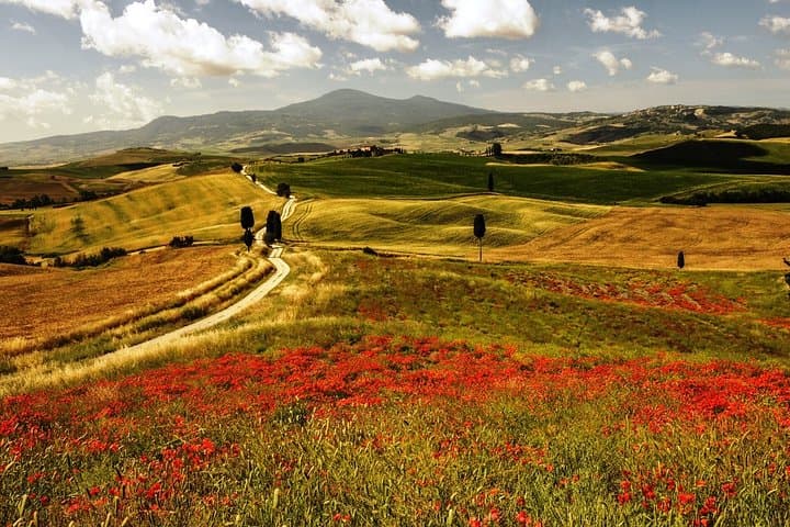 UrbExcursions Siena Monteriggioni San Gimignano with Lunch&WineTasting Fullday from Rome