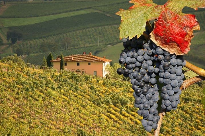 UrbExcursions Wine and Cooking Under the Tuscany Sun
