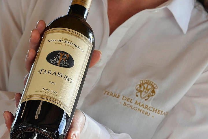 Bolgheri: Sensorial Wine Tasting with Winery Tour