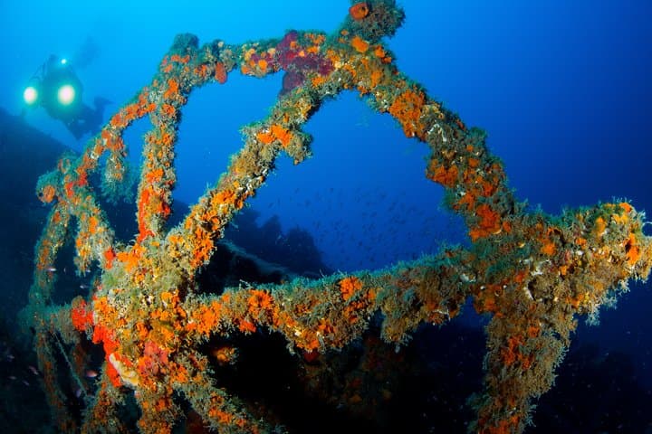 Scuba diving in Calabria, Italy
