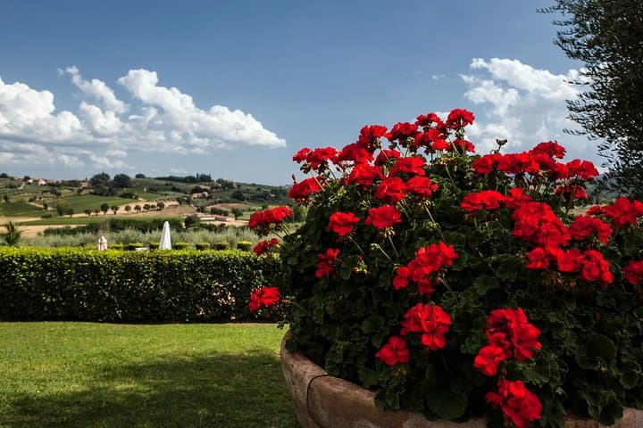Menu with a “View” in the enchantment of the Tuscan hills