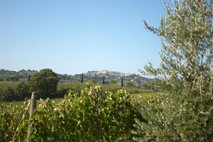 Think of a romantic meal in the Olive Trees shade, accompanied by Tuscan wines!