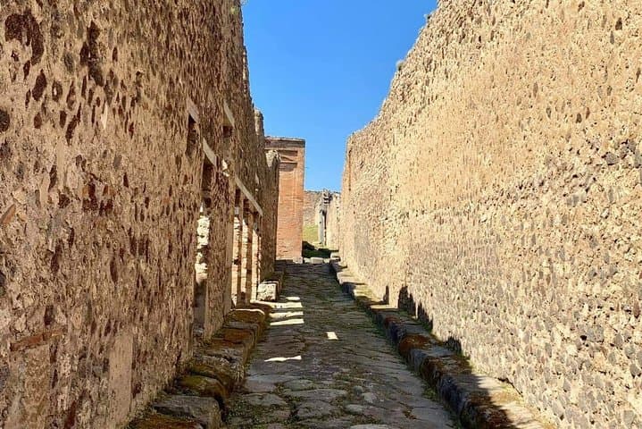 Private Transfer with Pompeii Stop from Naples or Sorrento