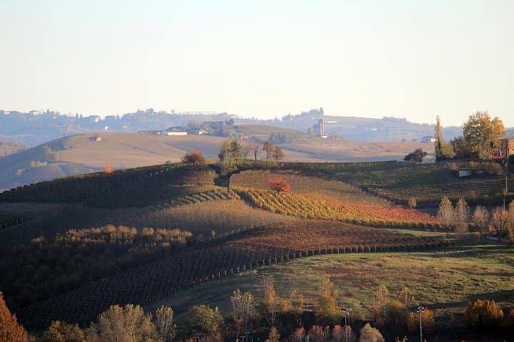 Langhe (Piedmont): Wine Tasting Experience