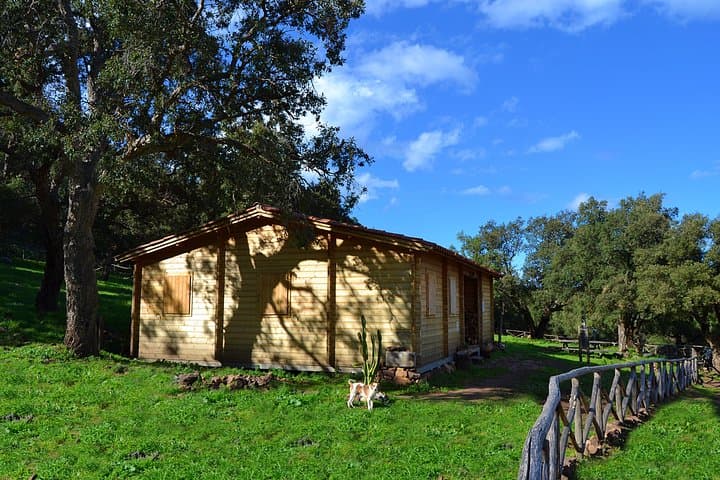 Madonie wild adventure