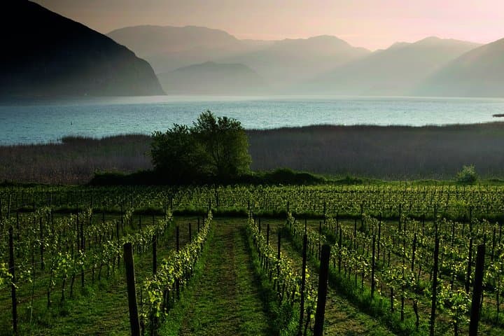 Bergamo and Franciacorta with lunch and cellar visit