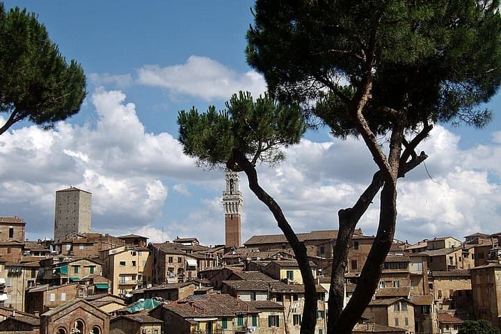 Secret Siena Walking Tour