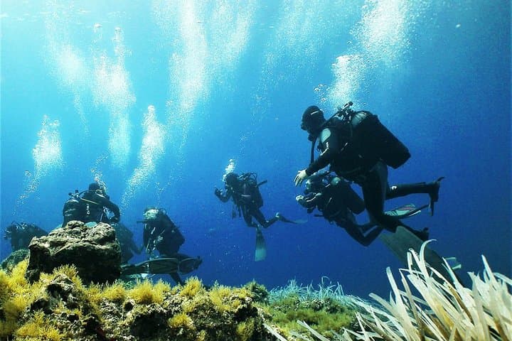 Diving for certified divers with PADI 5* Diving Resort - Taormina