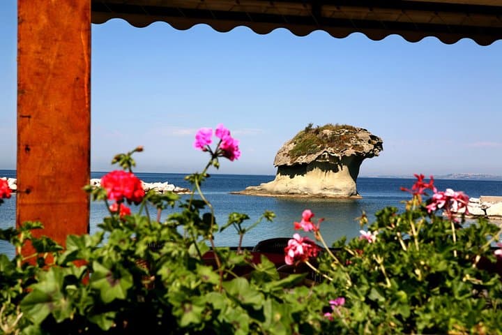 https://media-cdn.tripadvisor.com/media/attractions-splice-spp-720x480/0a/e6/a9/31.jpg