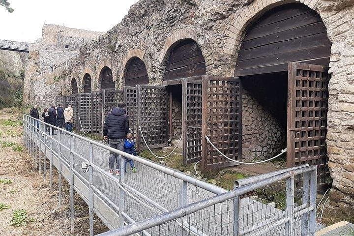 Private Walking Tour through the Historical City of Herculaneum
