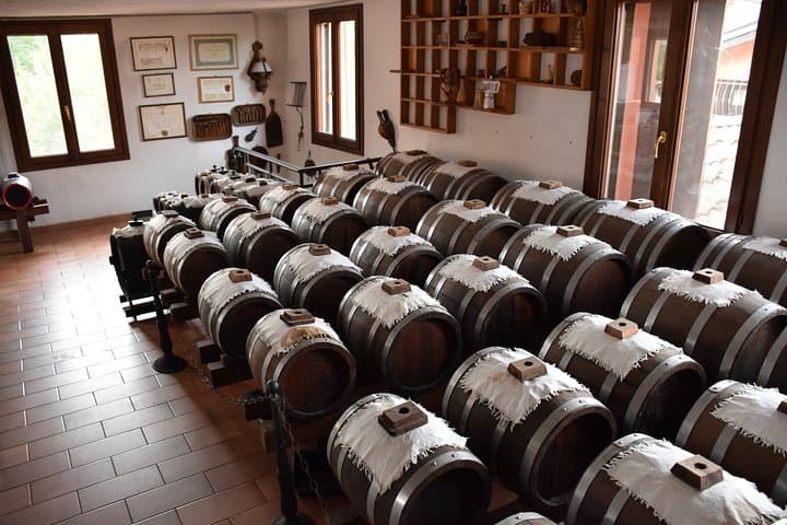 Private half day tour in Parma