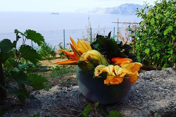 I offer cooking lesson of Amalfi tradition