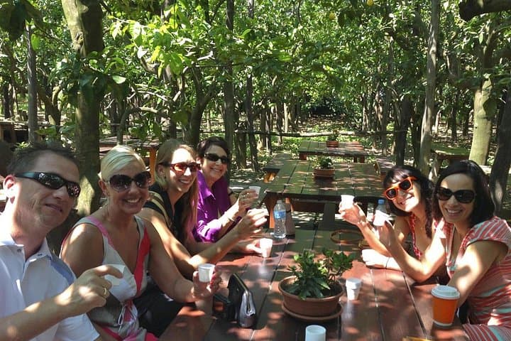 Sorrento Food Tasting and Lemon Grove Tour