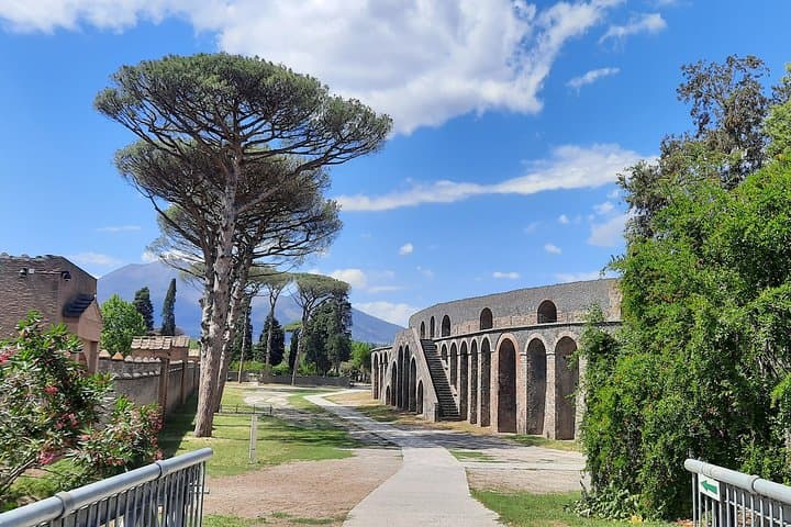 Best of Pompeii: 2-Hour Private Tour with Alex & Skip-the-Line