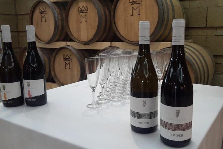 Visit 2 wine producers with tasting and transportation included