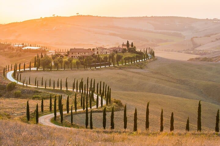 UrbExcursions Wine and Cooking Under the Tuscany Sun