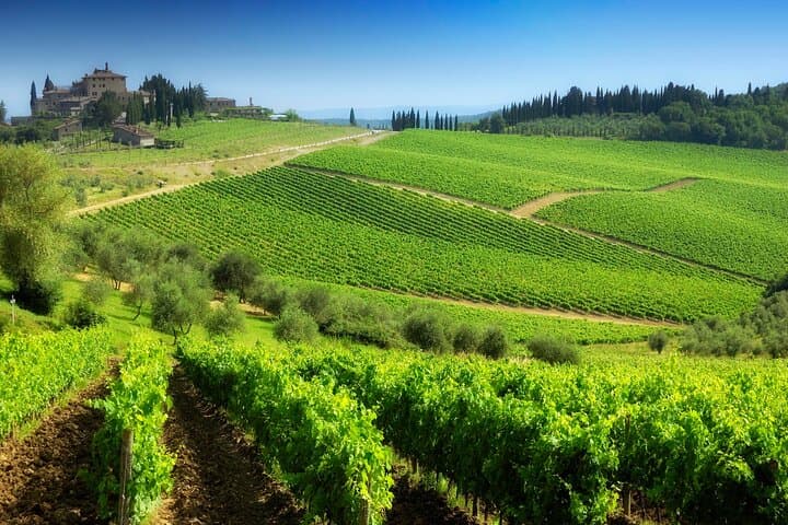 UrbExcursions Wine and Cooking Under the Tuscany Sun