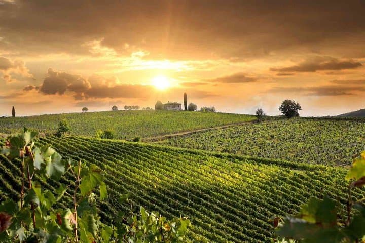 UrbExcursions Wine and Cooking Under the Tuscany Sun