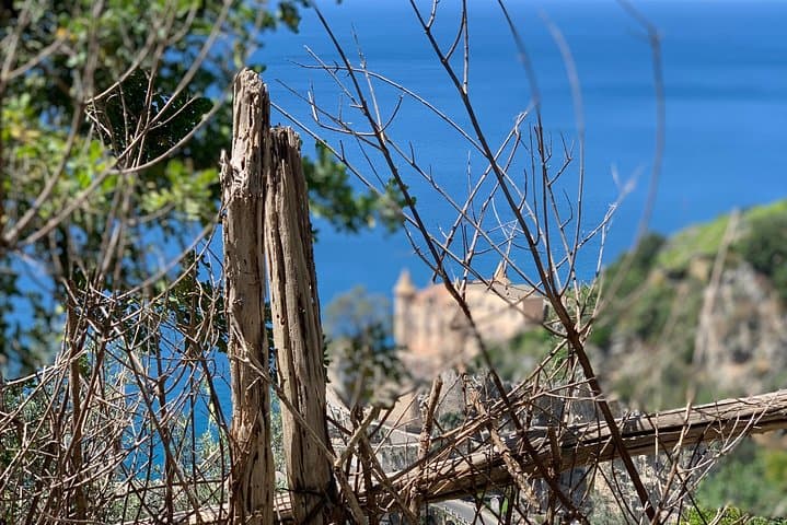 Walking tour from Minori to Maiori along the Path of the Lemons
