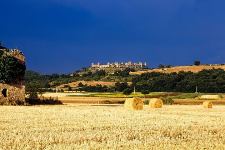 UrbExcursions Monteriggioni San Gimignano and Castellina in Chianti Fullday from Rome