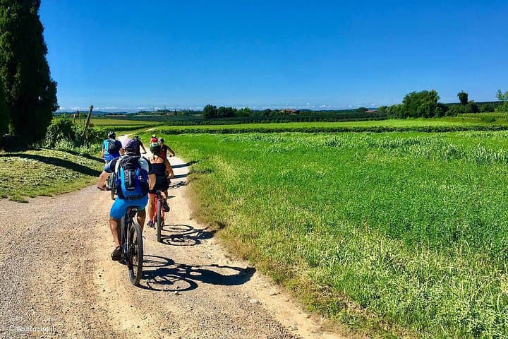 E-Bike Tour and Wine Tasting in Lazise