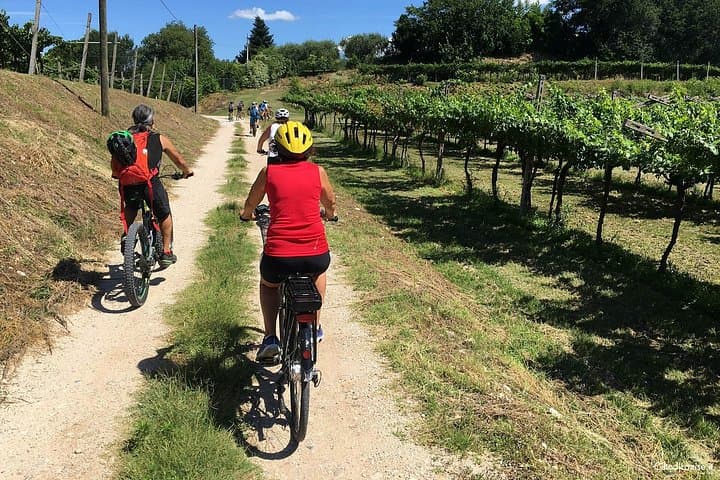 E-Bike Tour and Wine Tasting in Lazise