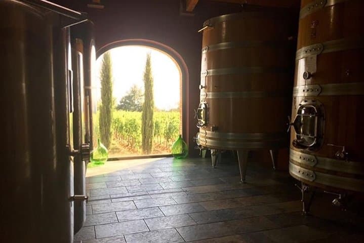 Winery Le Potazzine