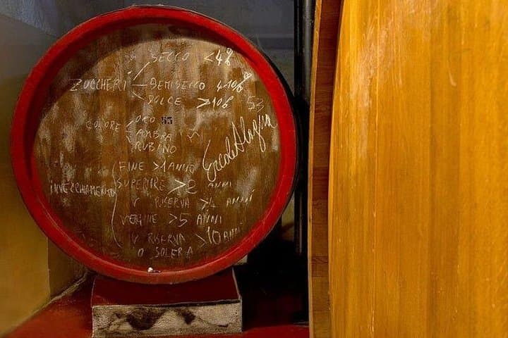 Historic winery visit with food and wine tasting in Marsala