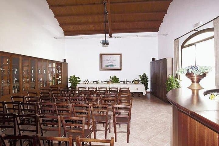 Historic winery visit with food and wine tasting in Marsala