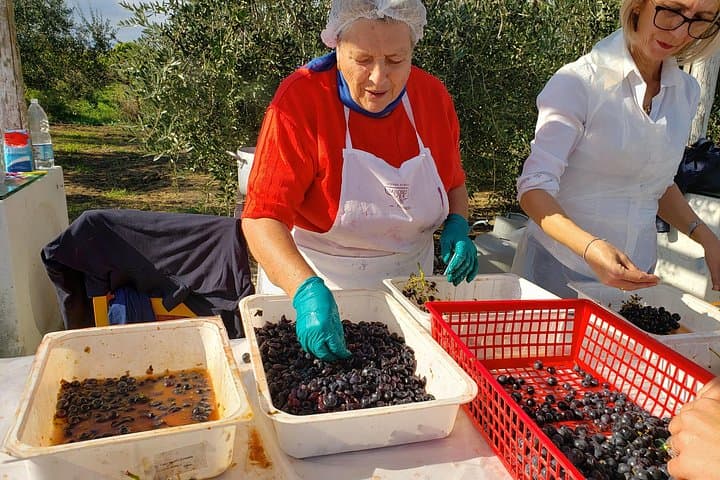 ItalyBesTours Abruzzo Countryside WineTasting CookingClass Experience from Rome