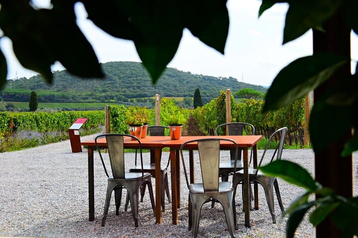 Exclusive Private Suvereto Experience: Land of Elisa Bonaparte