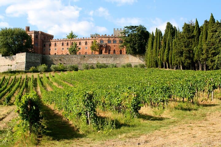ItalyBesTours Wine and Cooking Under the Tuscany Sun