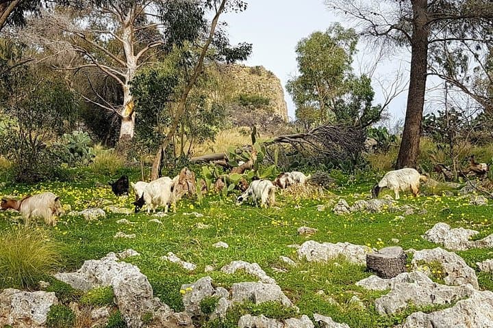 Discovering Monte Pellegrino