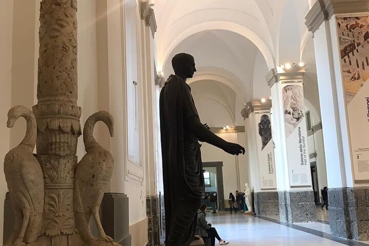 Private Tour of the National Archaeological Museum of Naples