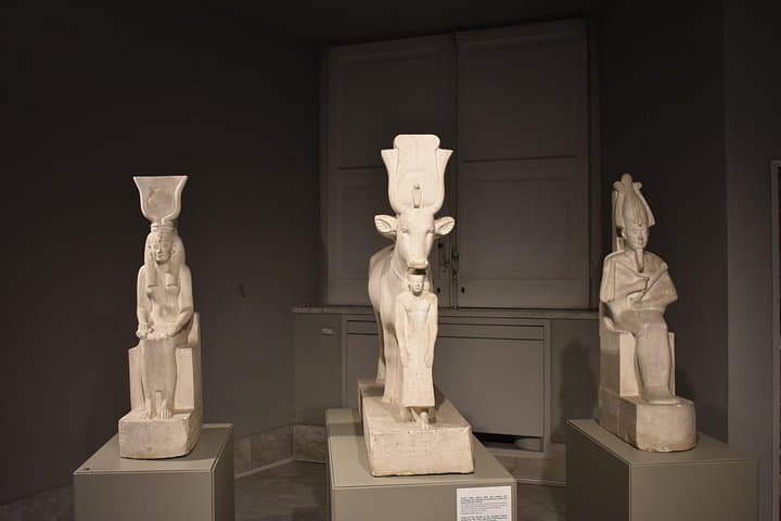 Tour of the Archaeological Museum of Naples