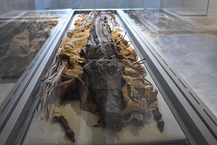 Tour of the Archaeological Museum of Naples