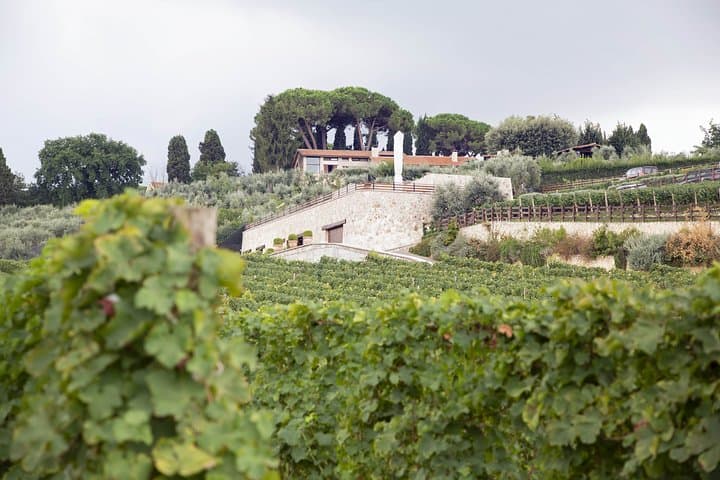 Our winery, integrated within the environment
